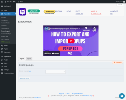 Page screenshot: Popup Box → Export/Import
