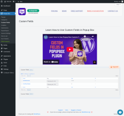 Page screenshot: Popup Box → Custom Fields