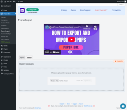 Page screenshot: Popup Box → Export/Import → Import