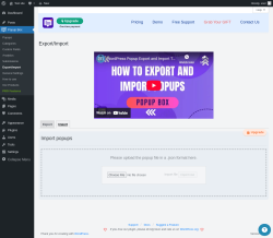 Page screenshot: Popup Box → Export/Import → Import
