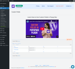 Page screenshot: Popup Box → Custom Fields