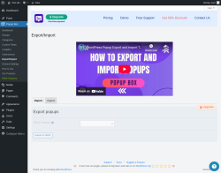Page screenshot: Popup Box &rarr; Export/Import
