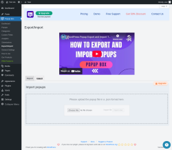 Page screenshot: Popup Box &rarr; Export/Import &rarr; Import