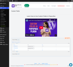Page screenshot: Popup Box &rarr; Custom Fields