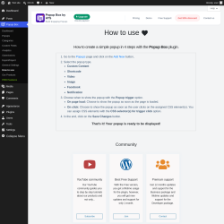 Page screenshot: Popup Box &rarr; How to use