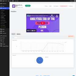 Page screenshot: Popup Box &rarr; Analytics &rarr; Statistics