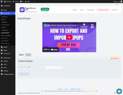Page screenshot: Popup Box &rarr; Export/Import
