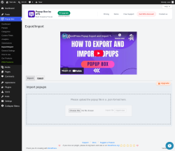 Page screenshot: Popup Box &rarr; Export/Import &rarr; Import
