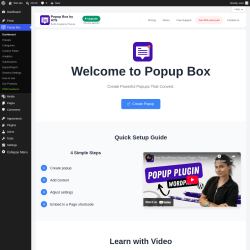 Page screenshot: Popup Box &rarr; Dashboard