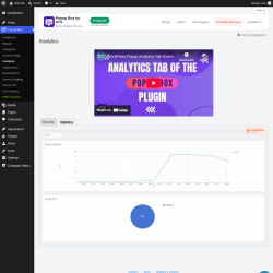 Page screenshot: Popup Box &rarr; Analytics &rarr; Statistics