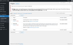 Page screenshot: Plugins ‹ Test site — WordPress
