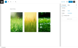 Page screenshot: B Carousel → Add New