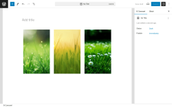Page screenshot: B Carousel → Add New