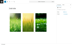 Page screenshot: B Carousel → Add New