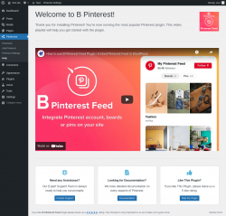 Page screenshot: Pinterests → Help