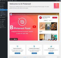 Page screenshot: Pinterest Help ‹ Test site — WordPress