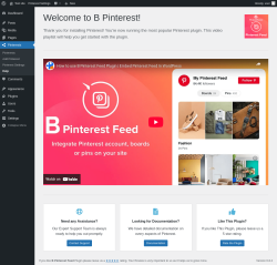 Page screenshot: Pinterest Help ‹ Test site — WordPress