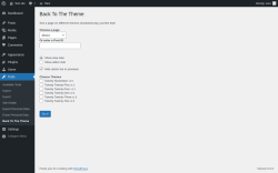 Page screenshot: Tools → Back To The Theme