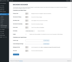 Page screenshot: Appearance &rarr; Backend Designer