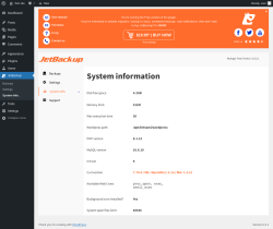 Page screenshot: JetBackup &rarr; System Info.