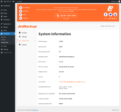 Page screenshot: JetBackup &rarr; System Info.