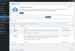 Page screenshot: Plugins &lsaquo; Test site &mdash; WordPress