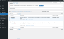 Page screenshot: Plugins ‹ Test site — WordPress