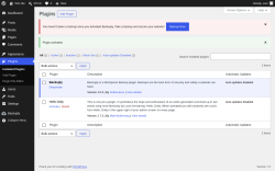 Page screenshot: Plugins &lsaquo; Test site &mdash; WordPress