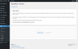 Page screenshot: BackWPup → Restore