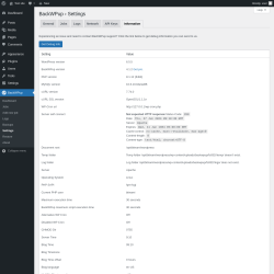Page screenshot: BackWPup → Settings → Information