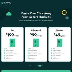 Page screenshot: BackWPup &rarr; Upgrade to Pro