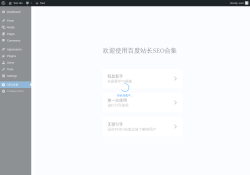 Page screenshot: SEO合集