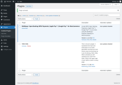 Page screenshot: Plugins &lsaquo; Test site &mdash; WordPress