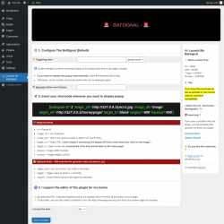 Page screenshot: Launch My Batsignal