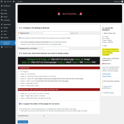 Page screenshot: Launch My Batsignal