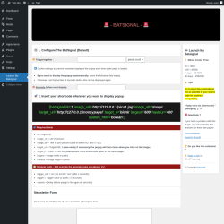 Page screenshot: Launch My Batsignal