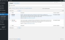 Page screenshot: Plugins &lsaquo; Test site &mdash; WordPress