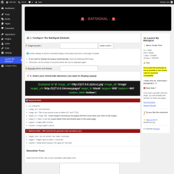Page screenshot: Launch My Batsignal