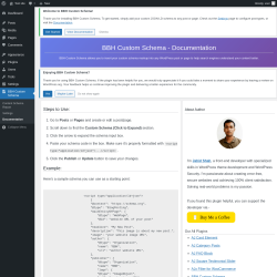 Page screenshot: BBH Custom Schema &rarr; Documentation