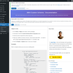 Page screenshot: BBH Custom Schema &rarr; Documentation