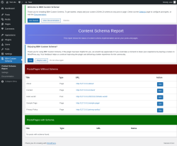 Page screenshot: Content Schema Report &lsaquo; Test site &mdash; WordPress