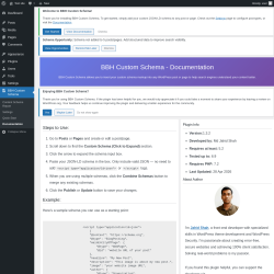 Page screenshot: BBH Custom Schema &rarr; Documentation