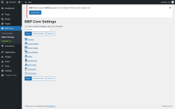 Page screenshot: BBP Core → BBPC Settings