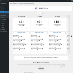 Page screenshot: BBP Core → Upgrade  ➤