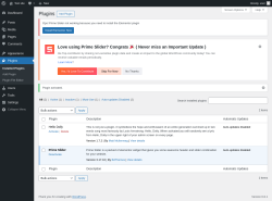 Page screenshot: Plugins &lsaquo; Test site &mdash; WordPress