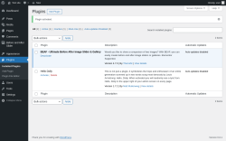 Page screenshot: Plugins ‹ Test site — WordPress