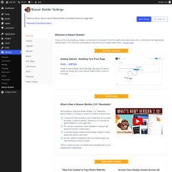 Page screenshot: Settings &rarr; Beaver Builder