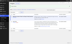 Page screenshot: Plugins &lsaquo; Test site &mdash; WordPress