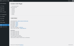 Page screenshot: Custom CSS