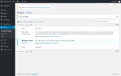 Page screenshot: Plugins &lsaquo; Test site &mdash; WordPress